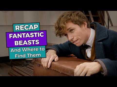 Fantastic Beasts and Where to Find Them RECAP