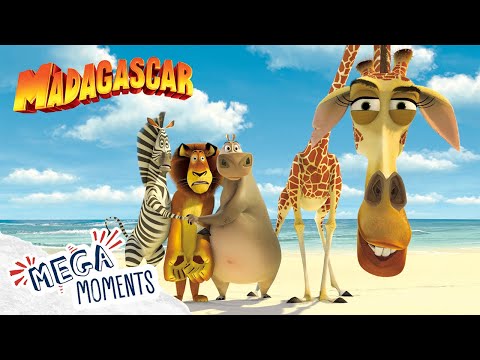 The Best of Madagascar! 🌈 🌴 | Madagascar | Extended Preview | Mega Moments