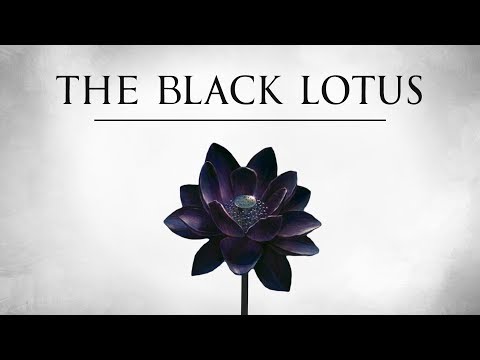 The Black Lotus | A History of Magic's Most Valuable Card