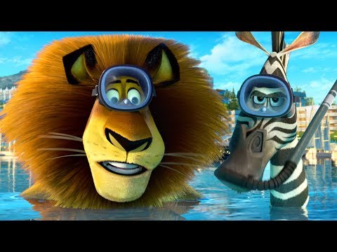 DreamWorks Madagascar | Alex and Marty Best Friends | Madagascar Funny Scenes | Kids Movies