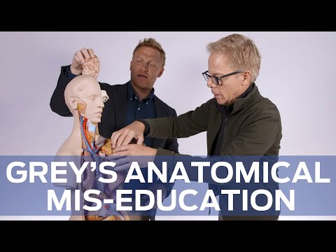 Anatomical Mis-Education with 'Grey's Anatomy''s Kevin McKidd and Greg Germann