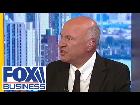 ‘DOESN’T CHANGE ANYTHING’: Kevin O’Leary makes prediction over DOGE