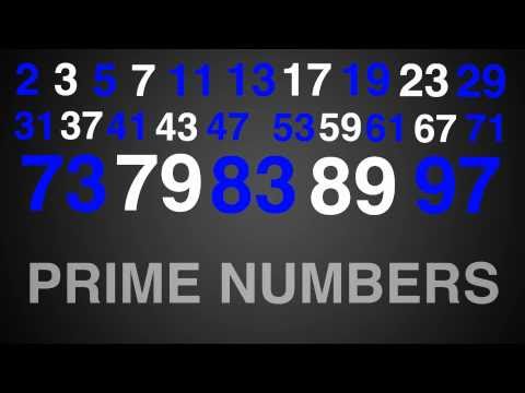 Prime Numbers Rap Song Typography (Math)