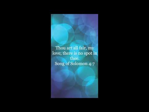 Verse of the day- Song of Solomon 4:7