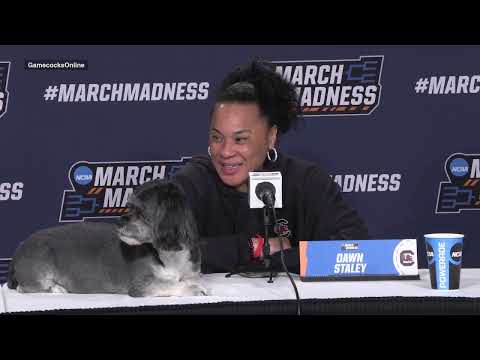 Dawn Staley, Te-Hina Paopao, Raven Johnson | South Carolina Women's Basketball