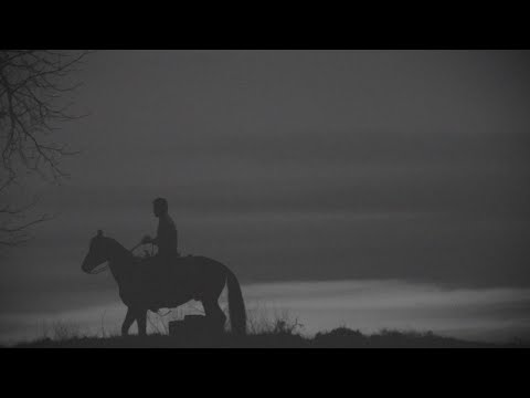 Randy Travis - Horses In Heaven (Lyric Video)