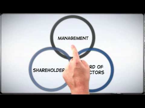 Corp 101: The Basics of Corporate Structure