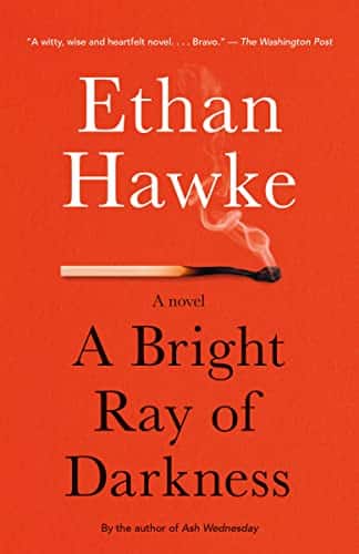 A Bright Ray Of Darkness A Novel