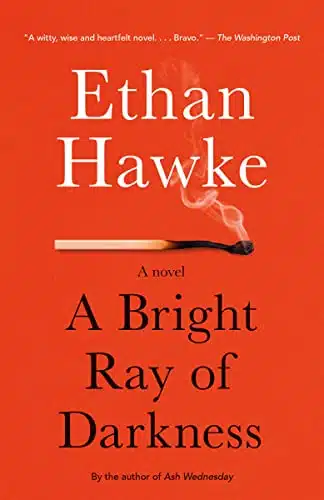 A Bright Ray Of Darkness A Novel