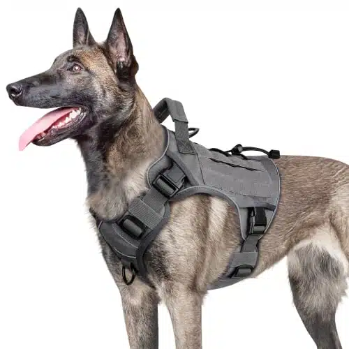 Wingoin Gray Large Tactical Dog Harness No Pull Adjustable Reflective Kilitary Gray Dog Vest Harnesses With Easy Control Handle For German Shepherd Service Dog (L)