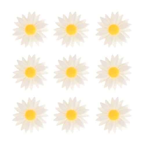 Besportble Pcs Daisy Resin Crafts Chrysanthemum Flower Jewelry Decked Accessories Phone Case Bead Accessories For Resin Flowers Artificial Flower Head Scrapbooking Hair Beads 