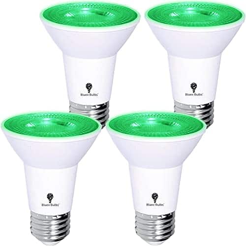 Pack Bluex Led Parflood Green Light Bulb    (Att Equivalent)   Dimmable   Ebase Green Led Lights, Party Decoration, Porch, Home Lighting, Holiday Lighting, Green Flood Light B