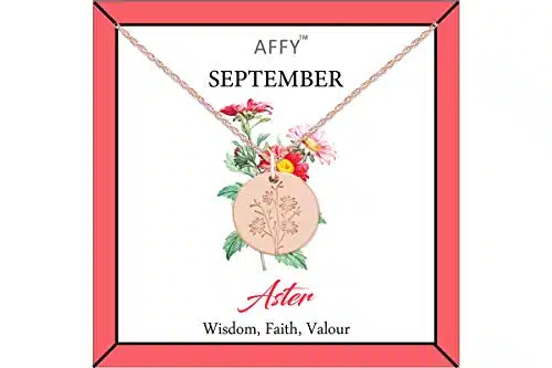 September Birth Month Aster Flower Disc Pendant Necklace In Rose Gold Plated Jewelry Womens Chain